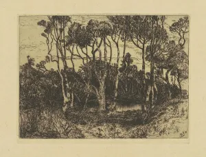 Copse Prints: Solitude, 1880. Creator: Mary Nimmo Moran
