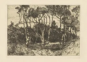 Copse Prints: Solitude, 1880. Creator: Mary Nimmo Moran