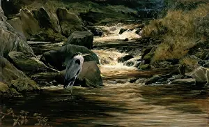Wading Bird Prints: Solitude, c1879. Creator: Bryan Hook
