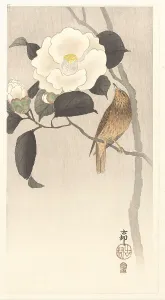 Landscapeanimals And Birds Prints: Songbird and blooming camellia, 1900-1910. Creator: Ohara, Koson (1877-1945)