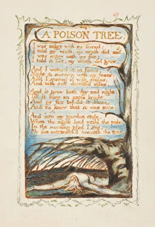 Adversary Collection: Songs of Innocence and of Experience: A Poison Tree, ca. 1825. Creator: William Blake
