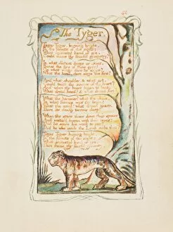 Tiger Collection: Songs of Innocence and of Experience: The Tyger, ca. 1825. Creator: William Blake