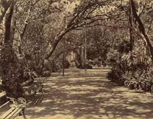 Sookh-Vilas Palace Garden, 1880-90. Creator: Lala Deen Dayal