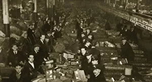 Parcel Gallery: Sorting parcels at the Post Office, Mount Pleasant, London, 20th century