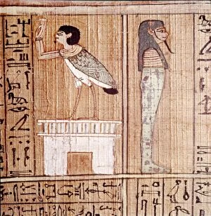 Mummy Collection: Soul-bird & Mummy, Book of the Dead, Egyptian Papyrus of Ani, Thebes, c1250BC