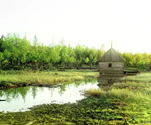 Colour Separation Negative Prints: Source of the Volga, Volgoverkhovye, 1910. Creator: Sergey Mikhaylovich Prokudin-Gorsky