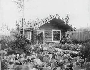 Alaska Prints: Sourdough's home, 1916. Creator: Unknown
