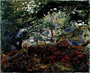Undergrowth Prints: Sous-Bois, 1908-1910. Creator: Georges Lacombe