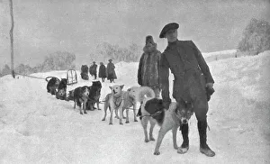 Huskies Prints: Sous la direction de notre consul en Alaska