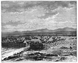 Kraal Prints: A South African cattle kraal, c1890