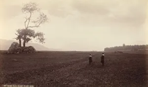 South from Ames, North Elba, c. 1888. Creator: Seneca Ray Stoddard