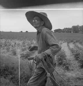 Sharecropper Prints: South Carolina sharecropper, 1937. Creator: Dorothea Lange
