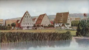 Humulus Lupulus Gallery: South Germany, c1930s