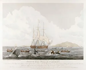 Crew Prints: South Sea Whale Fishery, 1825