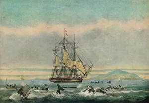 Maritime Prints: South Sea Whale Fishery, 1825. Artist: Thomas Sutherland