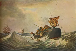 Marine Prints: South Sea Whale Fishery, 1836. Artist: Edward Duncan