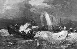 Seabird Prints: South Sea Whaling by Oswald W. Brierly
