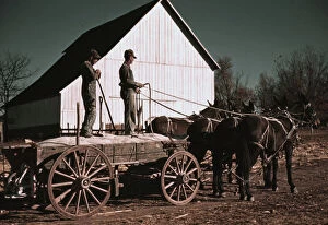 Farmworker Collection: Southeastern Georgia?, ca. 1940. Creator: Marion Post Wolcott