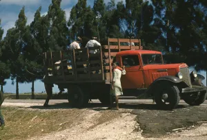 Slides Color Gmgpc Prints: Southern U. S. Mississippi?, ca. 1940. Creator: Marion Post Wolcott