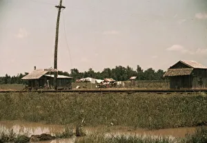 Post Marion Prints: Southern U.S... Louisiana?, ca. 1940. Creator: Marion Post Wolcott