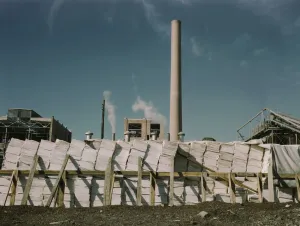 Paper Mill Prints: Southland Paper mill, Kraft (chemical) pulp used in making newsprint