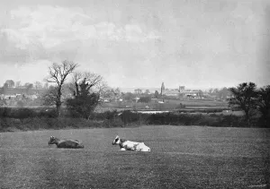 Bliss Gallery: Southwell, c1896. Artist: HJ Bliss
