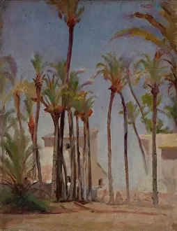 1899 Prints: Spain (Elche), 1899. Creator: Jan Ciaglinski