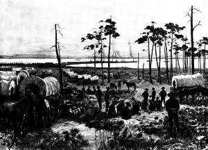 Waggon Prints: The Spanish-American War: the United States camp at Tampa Harbour, 1898. Creator: Unknown