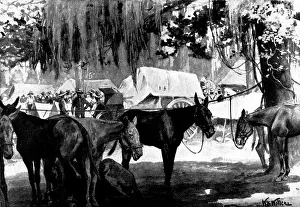 Shaded Prints: The Spanish-American War:United States Mobilisation at Tampa: picket line and wagon train