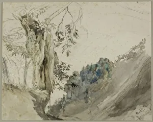 Chestnut Tree Prints: Spanish Chestnut, n. d. Creator: John Ruskin
