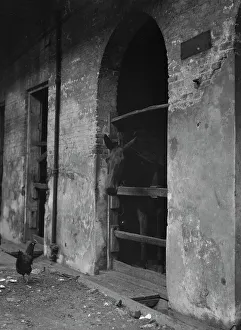 Stables Prints: Spanish Stables, New Orleans, between 1920 and 1926. Creator: Arnold Genthe