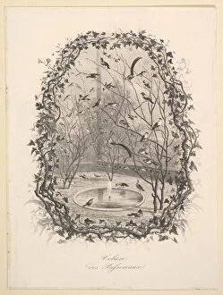 Perched Gallery: The Sparrow Aviary, 1843. Creator: Charles Francois Daubigny