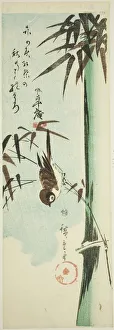 Sparrows Prints: Sparrow and bamboo, c. 1843/47. Creator: Ando Hiroshige