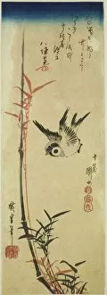 Chutanzaku Gallery: Sparrow and bamboo, mid-1830s. Creator: Ando Hiroshige