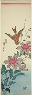 Sparrow and clematis, c. 1847/52. Creator: Ando Hiroshige