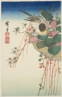 Planter Prints: Sparrow on a hanging planter, n. d. Creator: Ando Hiroshige