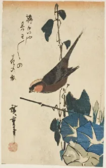 Convolvulus Arvensis Prints: Sparrow and morning glories, n. d. Creator: Ando Hiroshige