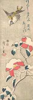 Sparrow and Snow-covered Camellia (Tsubaki), ca. 1845. ca. 1845. Creator: Ando Hiroshige