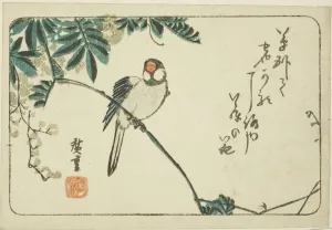 Sparrows Prints: Sparrow and wisteria, n. d. Creator: Ando Hiroshige