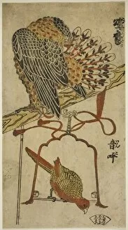 Hand Coloured Woodblock Print Gallery: Sparrowhawk and Macaw (Konori taka, inko), c. 1718. Creator: Torii Kiyomasu I