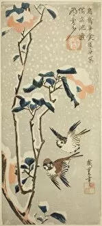 Sparrows and Camellia in Snow, c. 1831 / 33. Creator: Ando Hiroshige