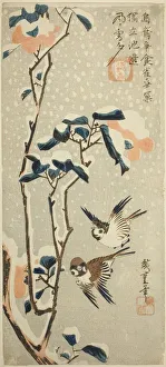 Sparrows and Camellia in Snow, c. 1831/33. Creator: Ando Hiroshige Sparrows and Camellia in Snow, c. 1831/33. Creator: Ando Hiroshige