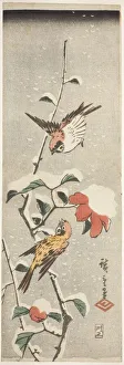Sparrows and Camellia in Snow, c. 1837/48. Creator: Ando Hiroshige Sparrows and Camellia in Snow, c. 1837/48. Creator: Ando Hiroshige