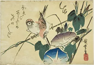 Sparrows and morning glories, 1830s. Creator: Ando Hiroshige Sparrows and morning glories, 1830s. Creator: Ando Hiroshige