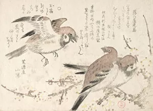 Sparrows and Plum Blossoms, 19th century. Creator: Kubo Shunman