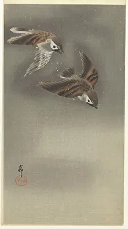Koson 1877 1945 Prints: Sparrows in snow. Creator: Ohara, Koson (1877-1945)
