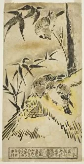 Thatched Gallery: Sparrows, Thatched Roof, and Bamboo, c. 1720 / 25. Creator: Okumura Masanobu