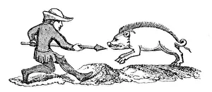 Strutt Prints: Spearing a Boar, 14th century, (1833)