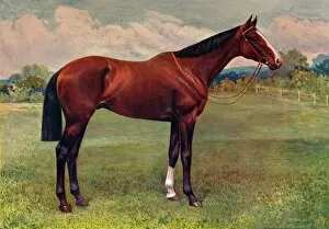 Horse Race Gallery: Spearmint, c1905 (c1910)