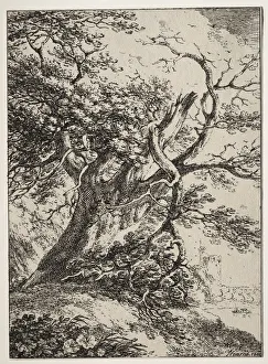 Specimens of Polyautography: Landscape with an Oak Tree, 1803. Creator: Thomas Hearne (British) Specimens of Polyautography: Landscape with an Oak Tree, 1803. Creator: Thomas Hearne (British)